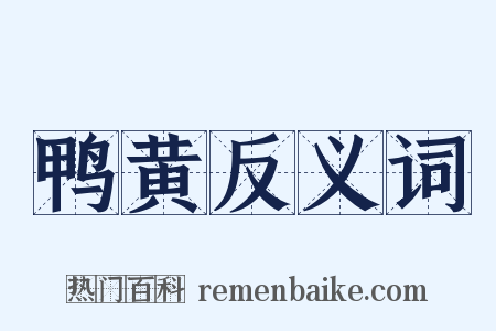 鸭黄反义词是什么意思的图片